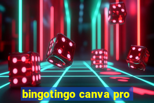 bingotingo canva pro